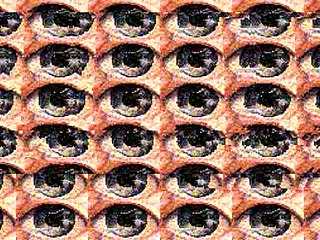 ������� ��� 3D
